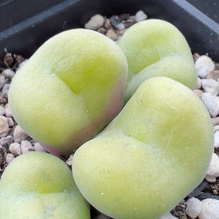 387号11111111111111111