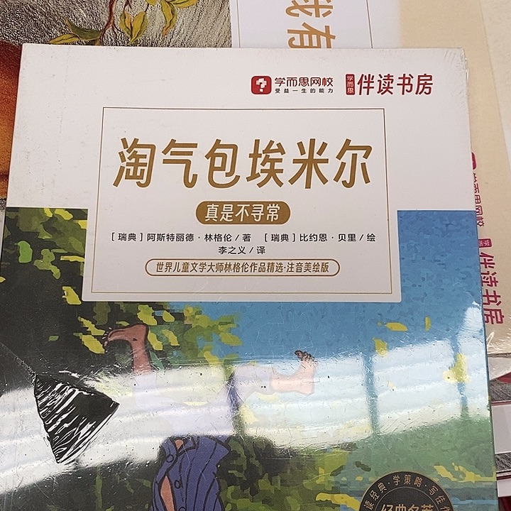 冰***夏淘气包埃米尔.      