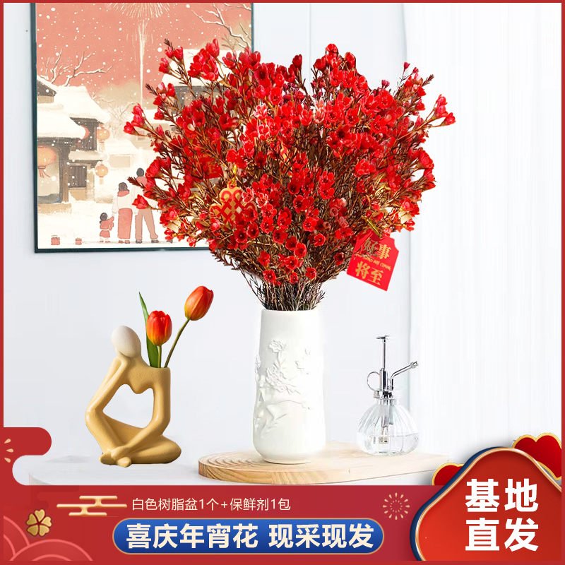 【澳洲腊梅+梅花花瓶】年宵花鲜切澳洲腊梅云南基地直发送营养液