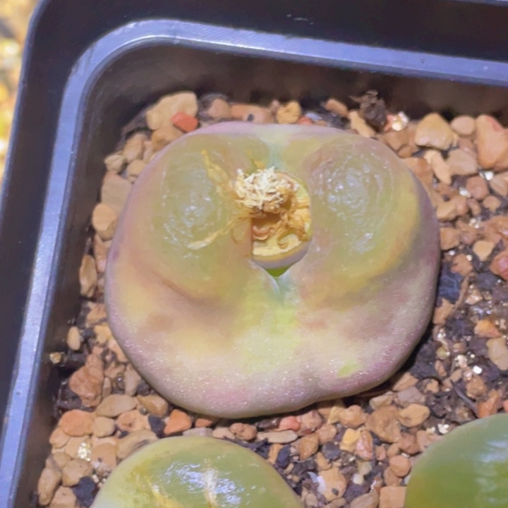 爱***呀4880008888988988888