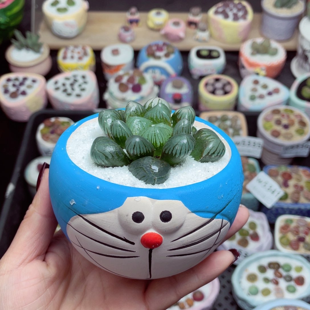 w5352 -零下地区拍保温箱-15支持寄养