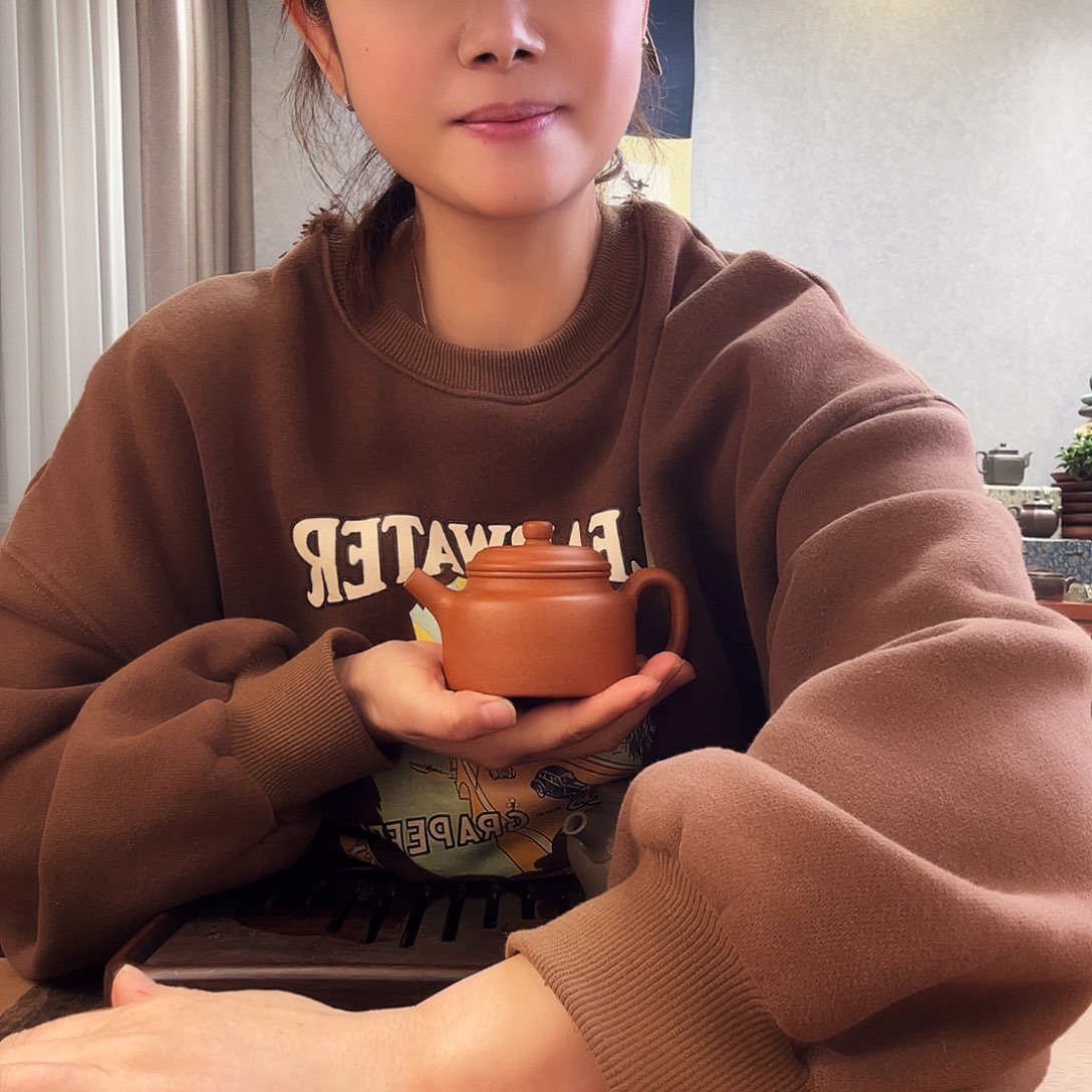 紫砂茶壶宜兴原矿紫砂茶壶