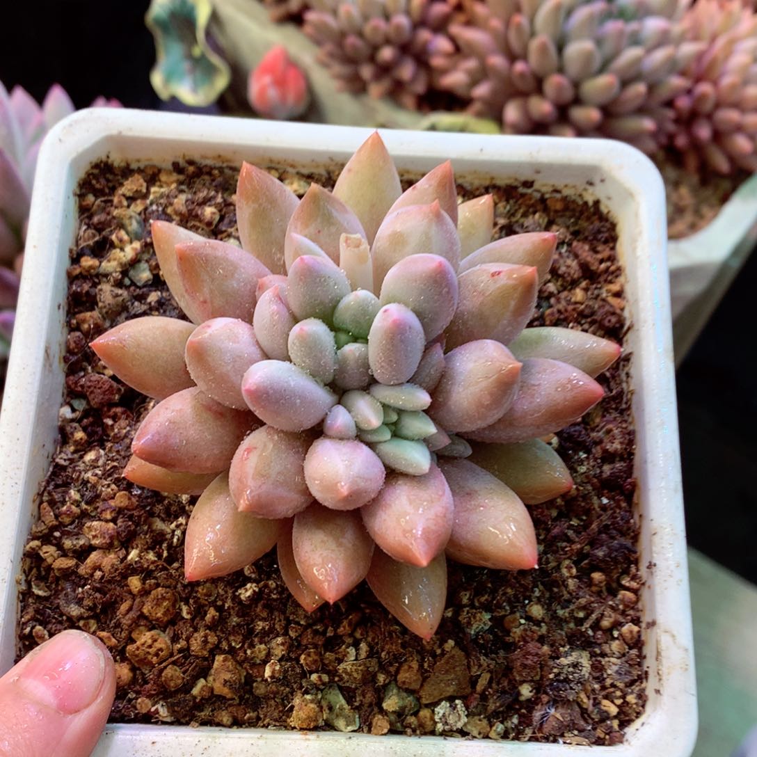 在在在在在在在在