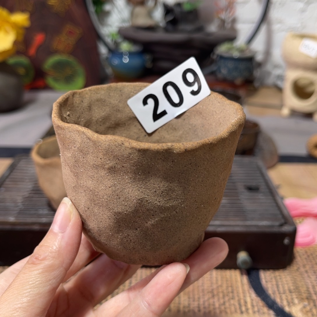 木村信弘柴烧保平