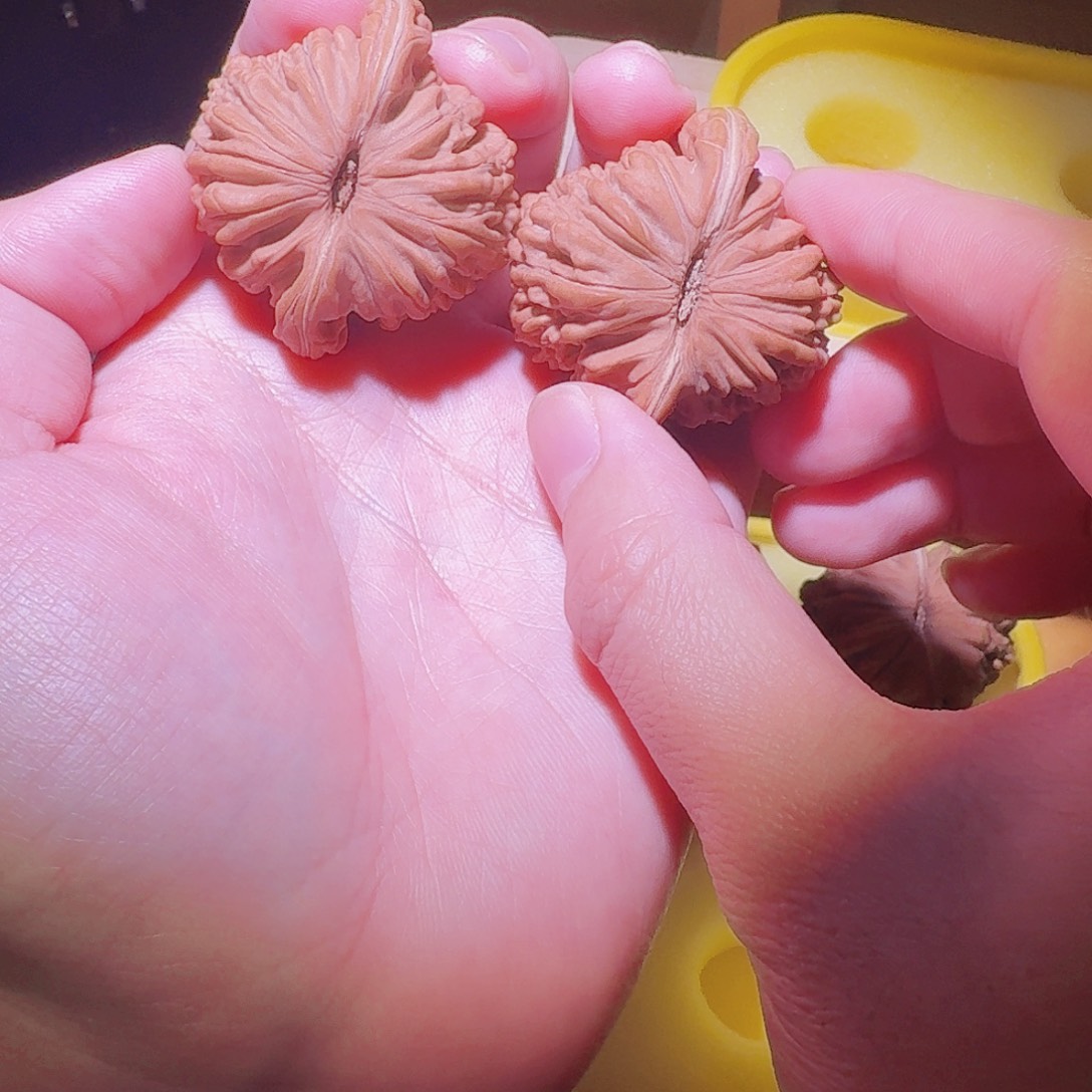 ◖***୨45加的全品无修四座楼