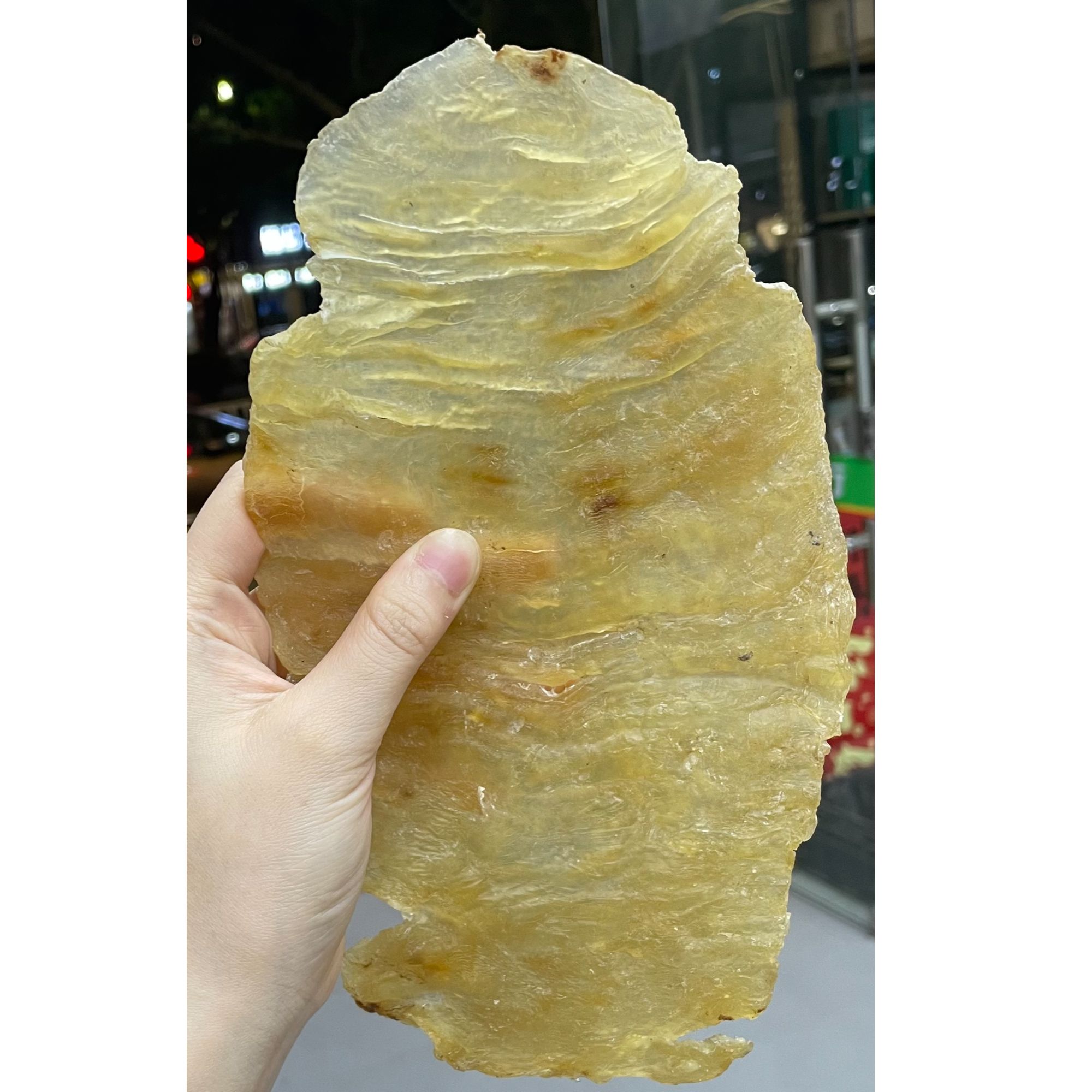 滋悦滋补行 斗湖胶 4头