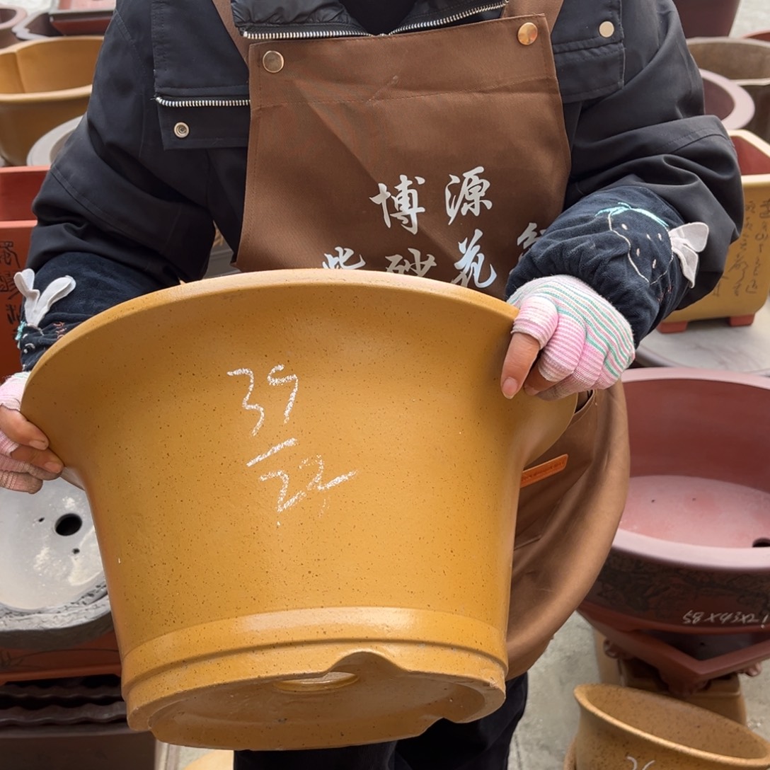 紫砂花盆盆景艺术