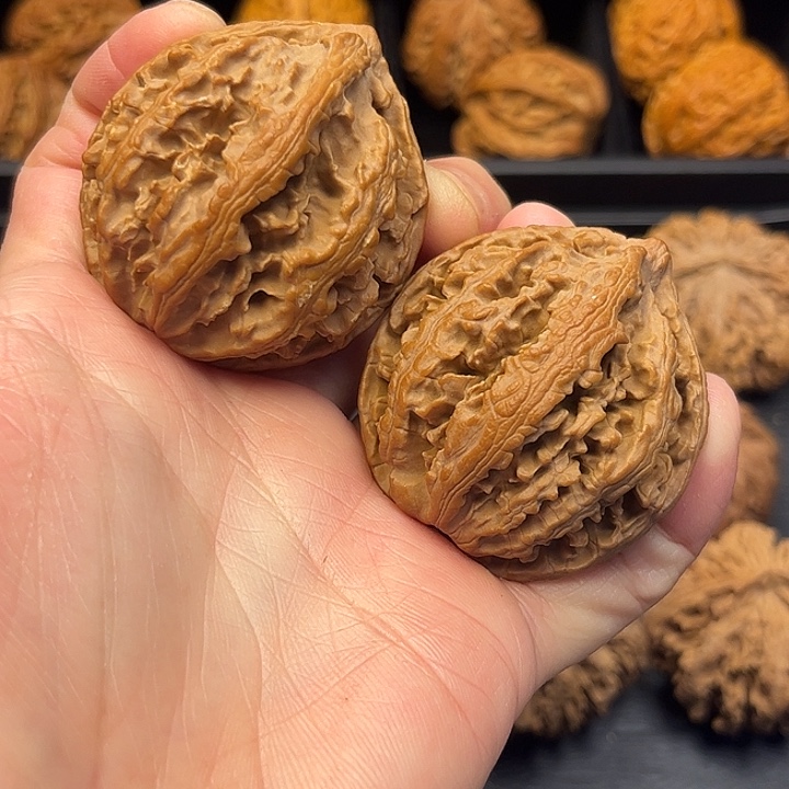 大叶紫檀（黑酸枝木类）