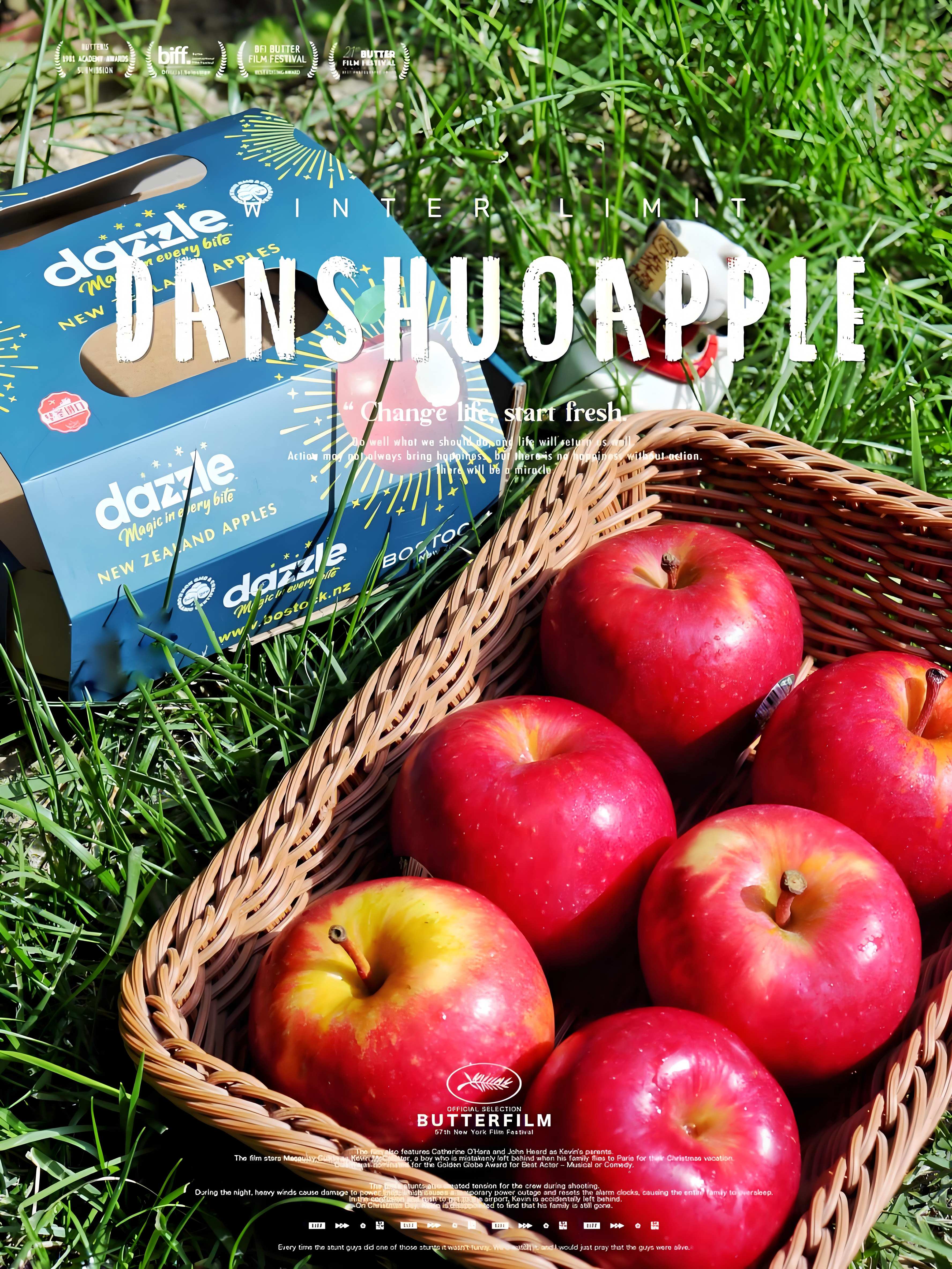 《丹选》丹烁苹果 4.5斤左右 12粒 礼盒 产地新西兰 