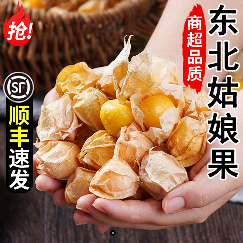 顺丰包邮东北姑娘果新鲜水果香甜灯笼果当季特产水果维C网红产地