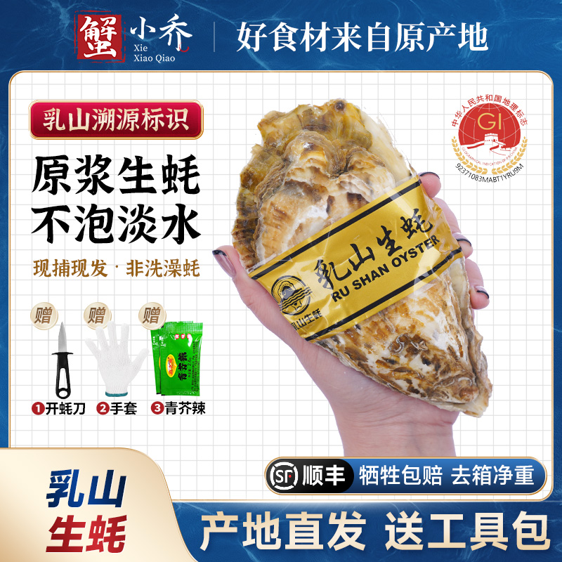 【乳山生蚝】5斤/9斤黄金牡蛎海蛎子鲜活发货牺牲包赔海鲜水产