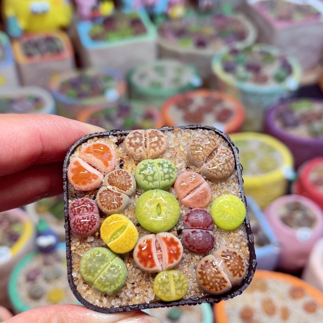 103。888888888888555