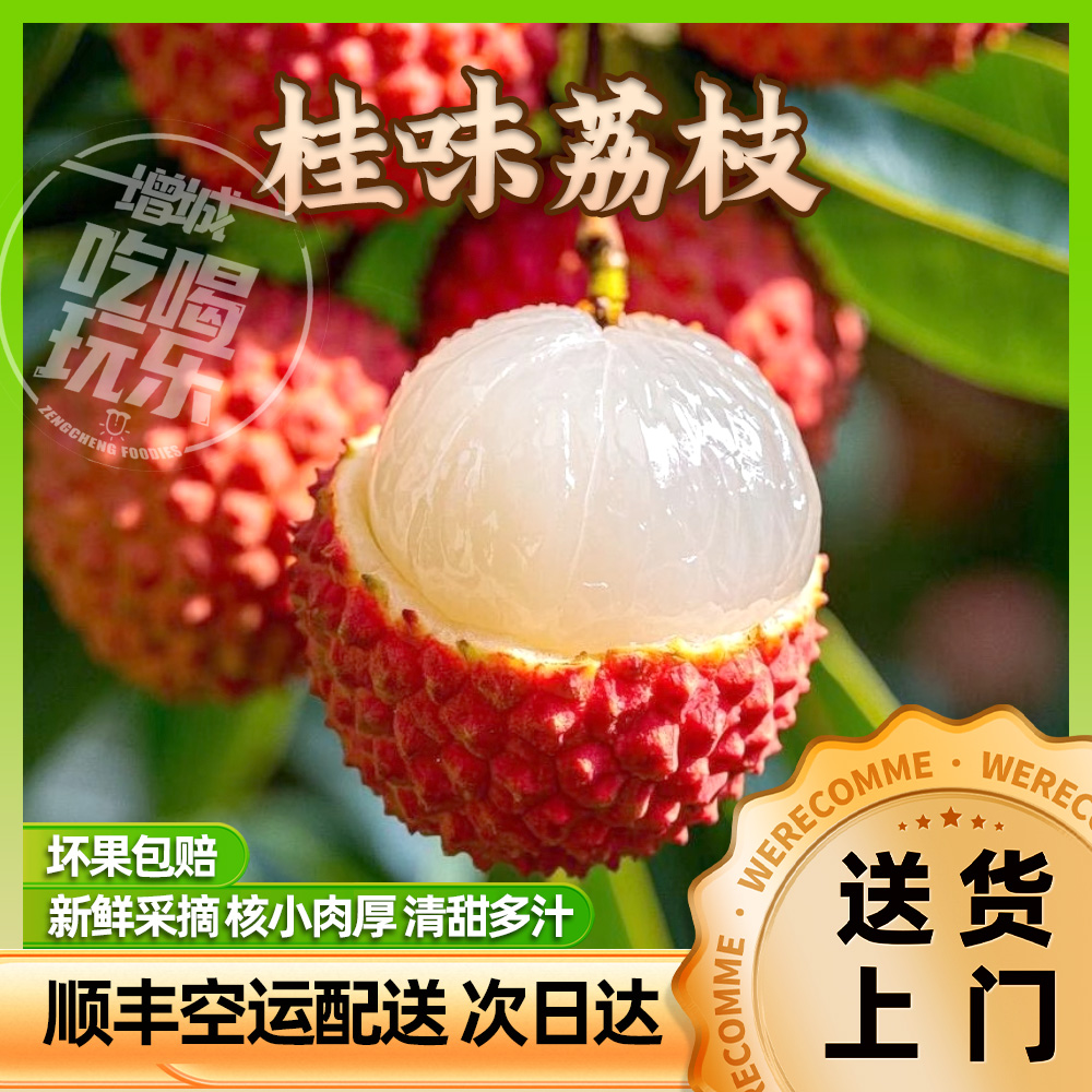 【只限广东】广东增城桂味荔枝肉厚核小现摘大果3/5/10斤装荔乡园荔枝同城送