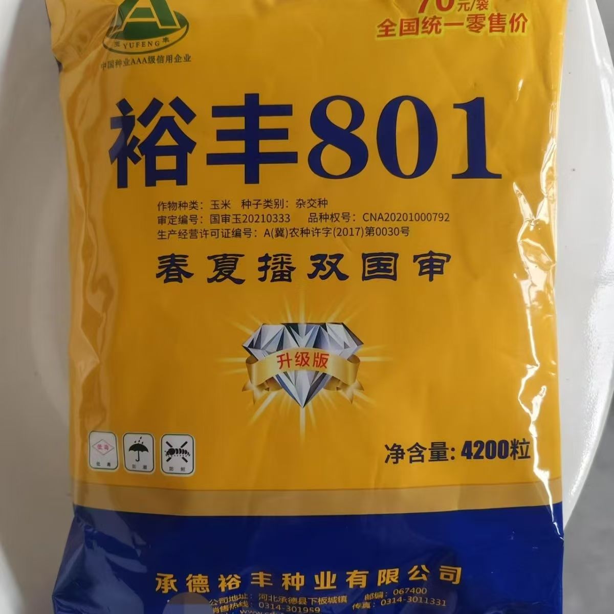 裕丰801玉米种子春夏播双国审棒大棒匀产量高4200粒