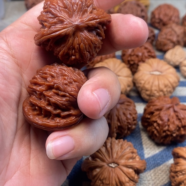 文玩核桃把件꧁****꧂核桃