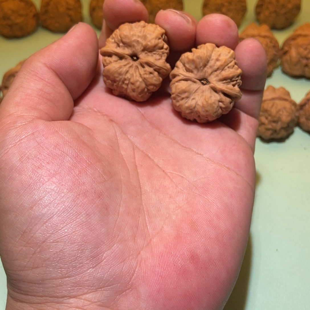 文玩核桃吊坠张*蛤蟆头32一对