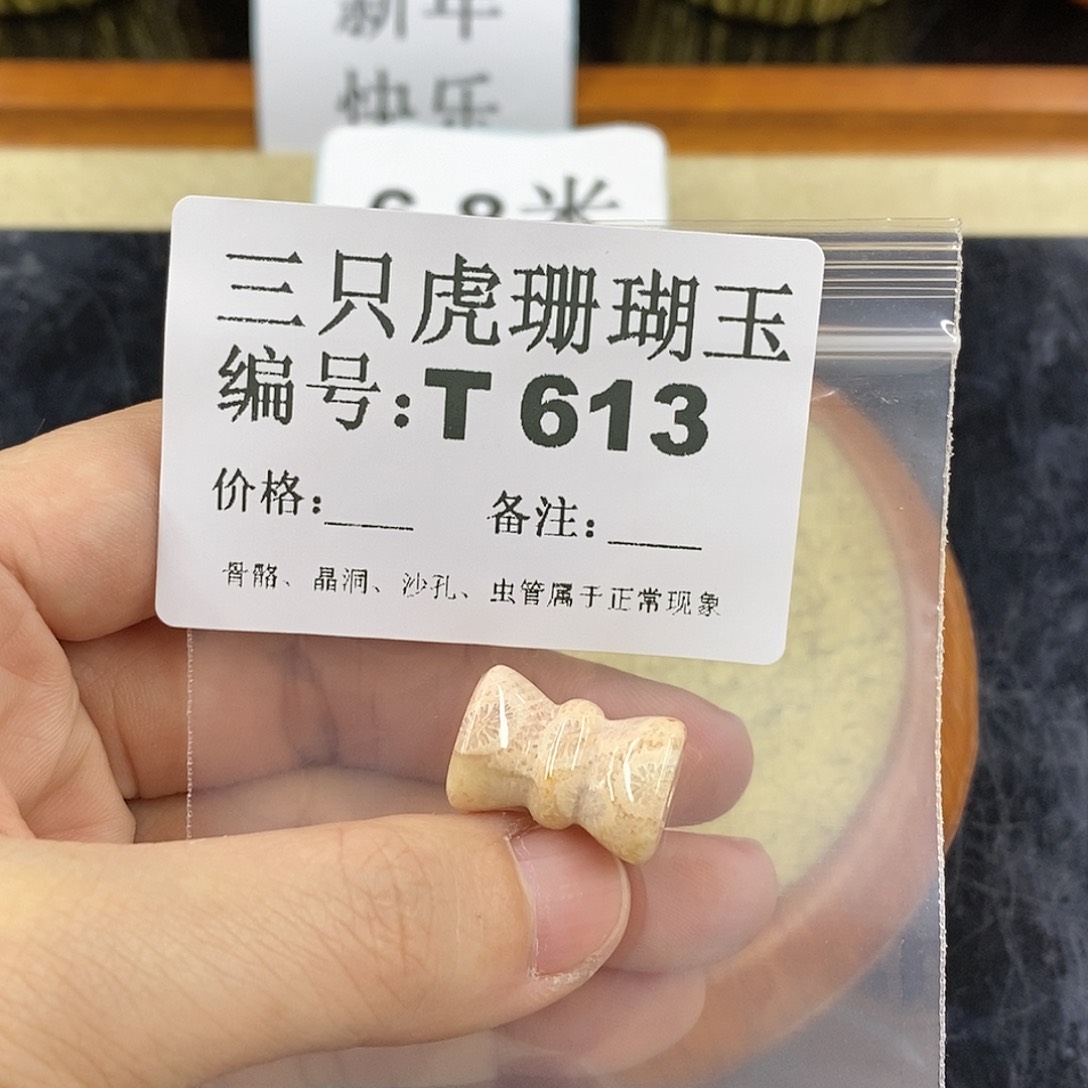 硅化珊瑚（珊瑚玉）1未镶嵌凭****！