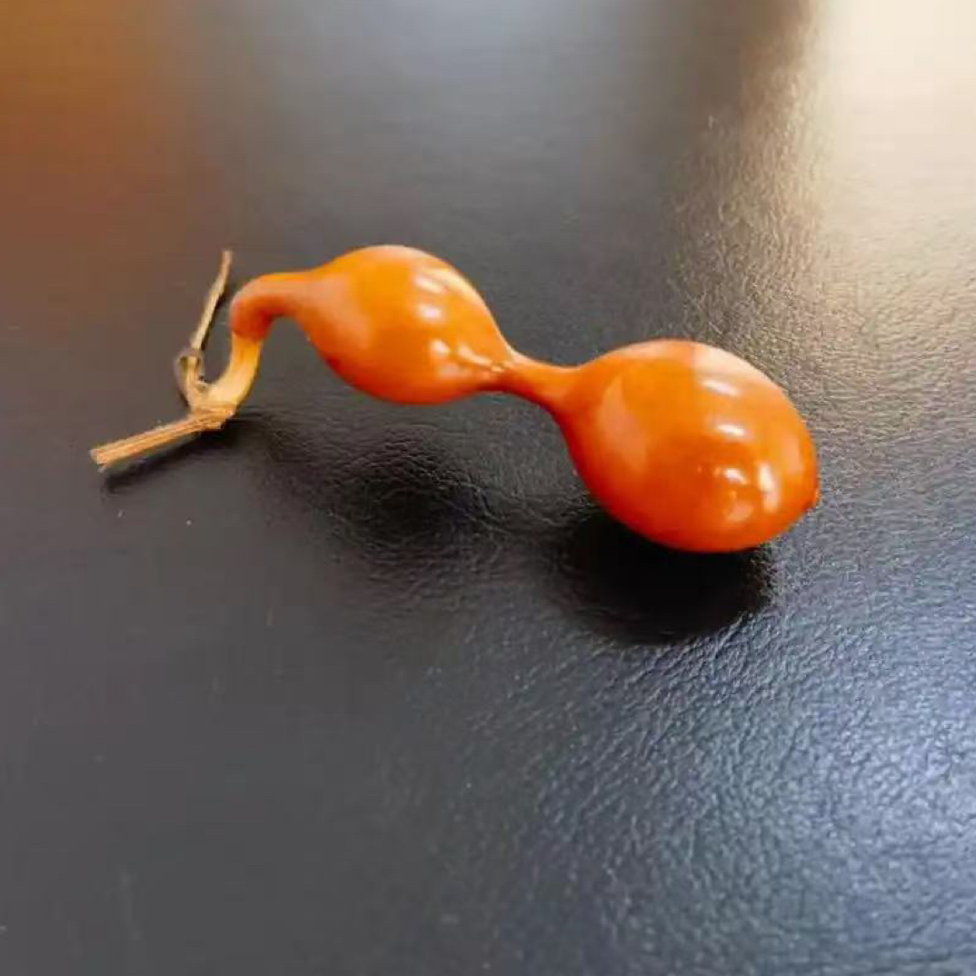 天然葫芦 （一物一拍 专属链接）