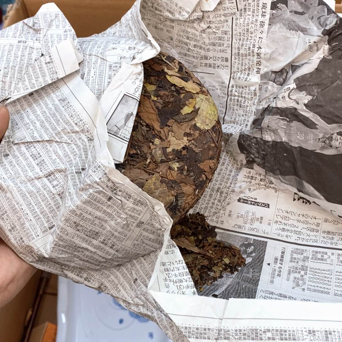 瓷片哈哈哈哈哈哈