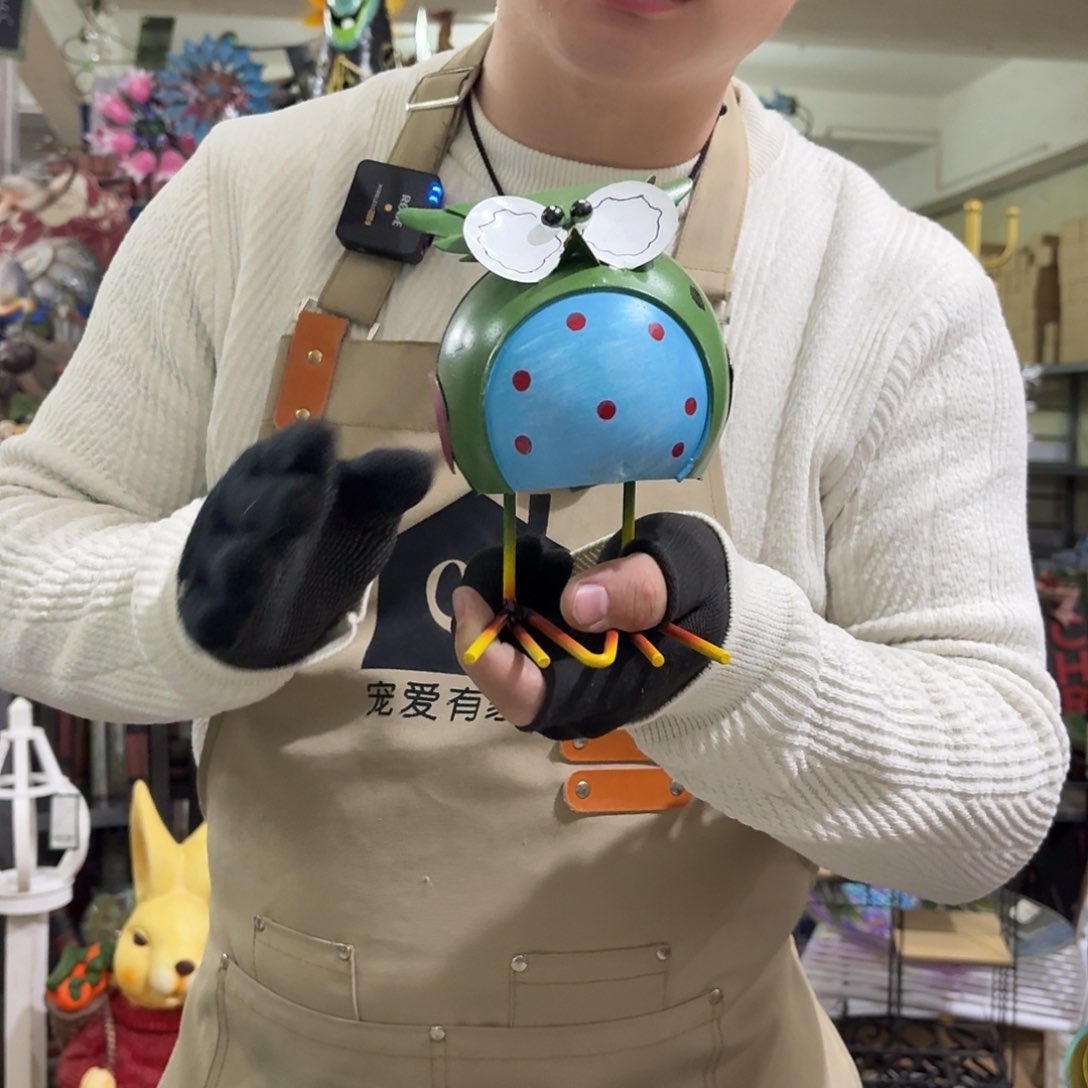 核桃木/黑胡桃（胡桃木）