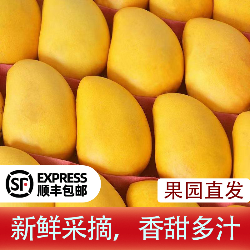 百色大台农应季新鲜薄皮香甜热带水果