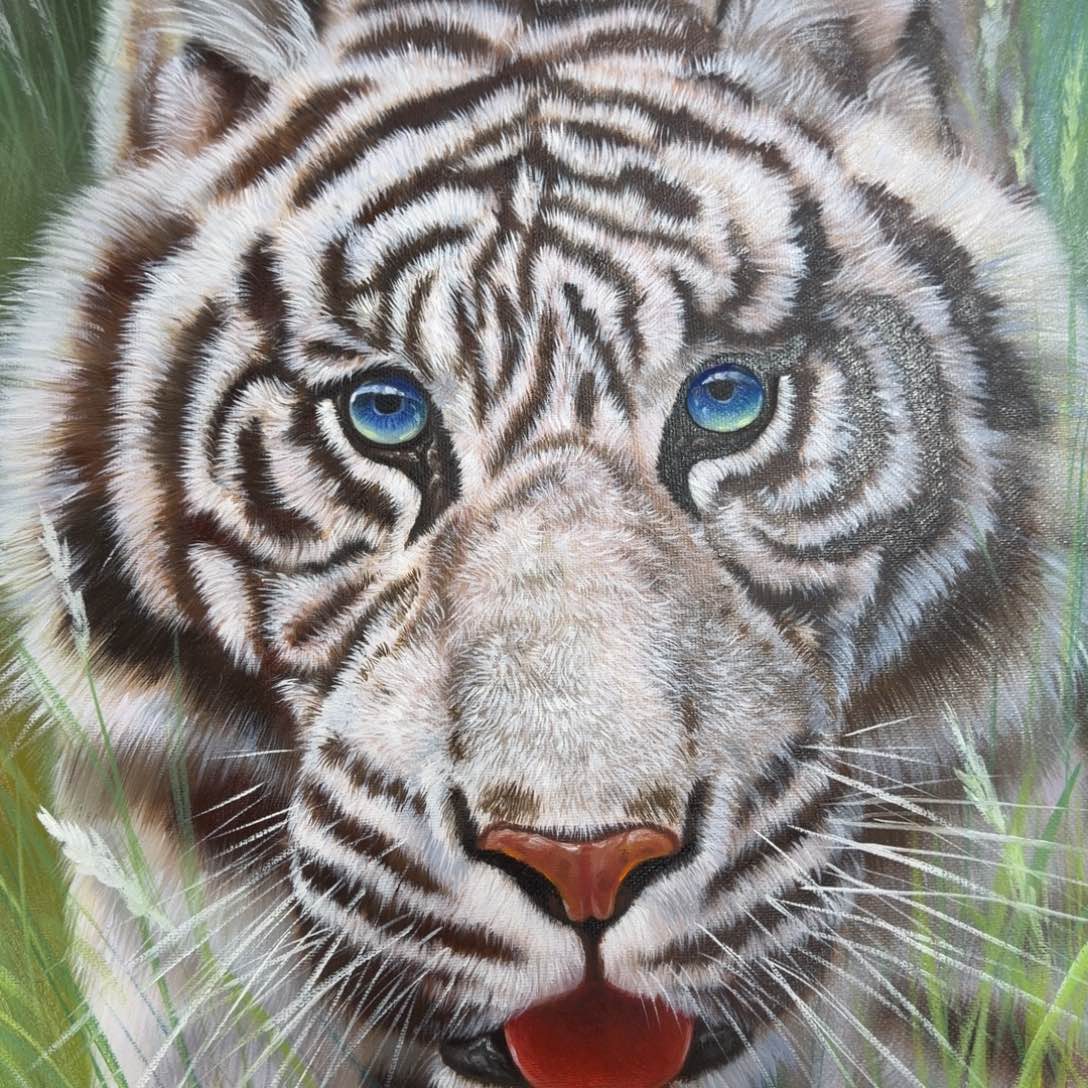 油画我的小可爱小猫咪好。