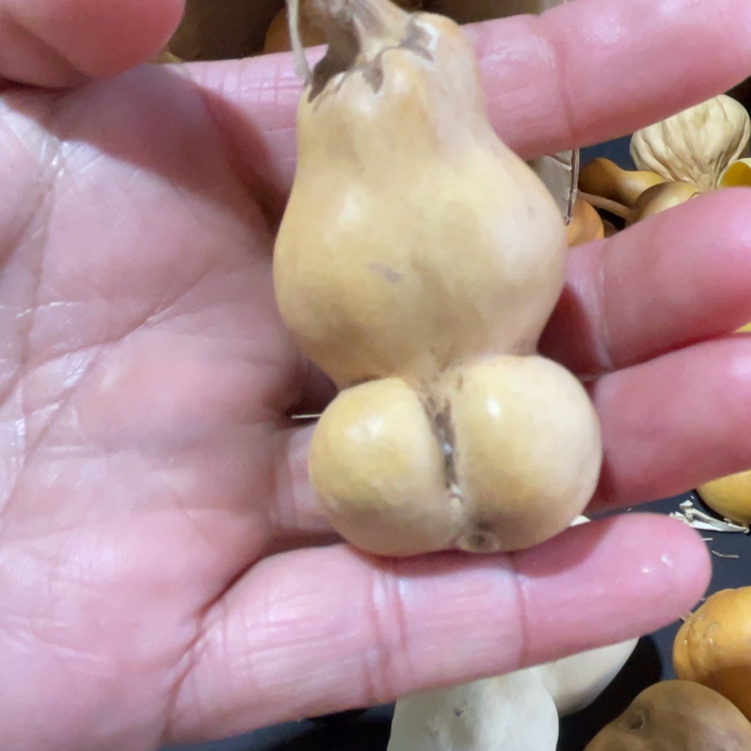 ****7葫芦葫哈哈哈哈哈哈哈哈