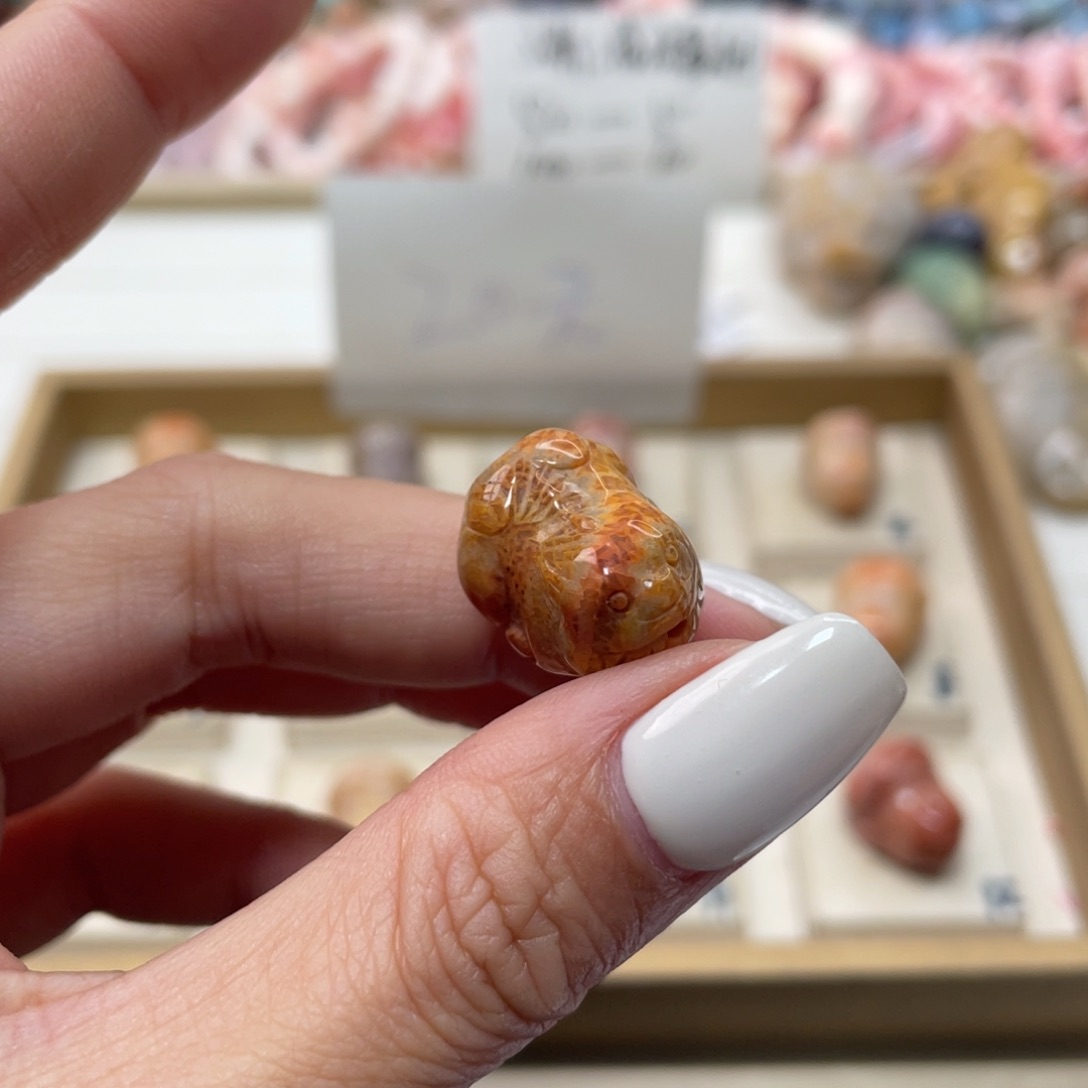 未镶嵌手链硅化玉金*017