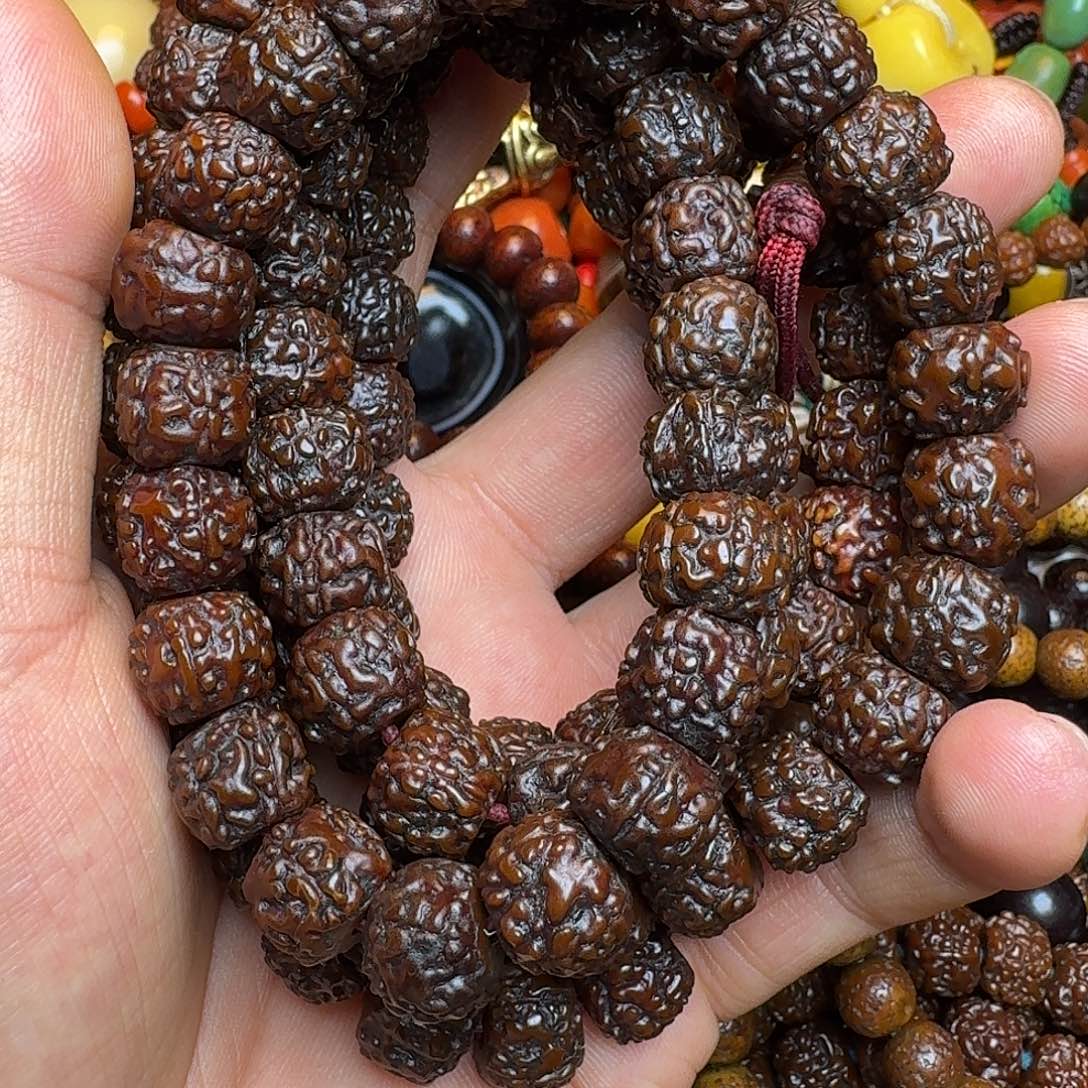 东***哥菩提籽类金刚菩提