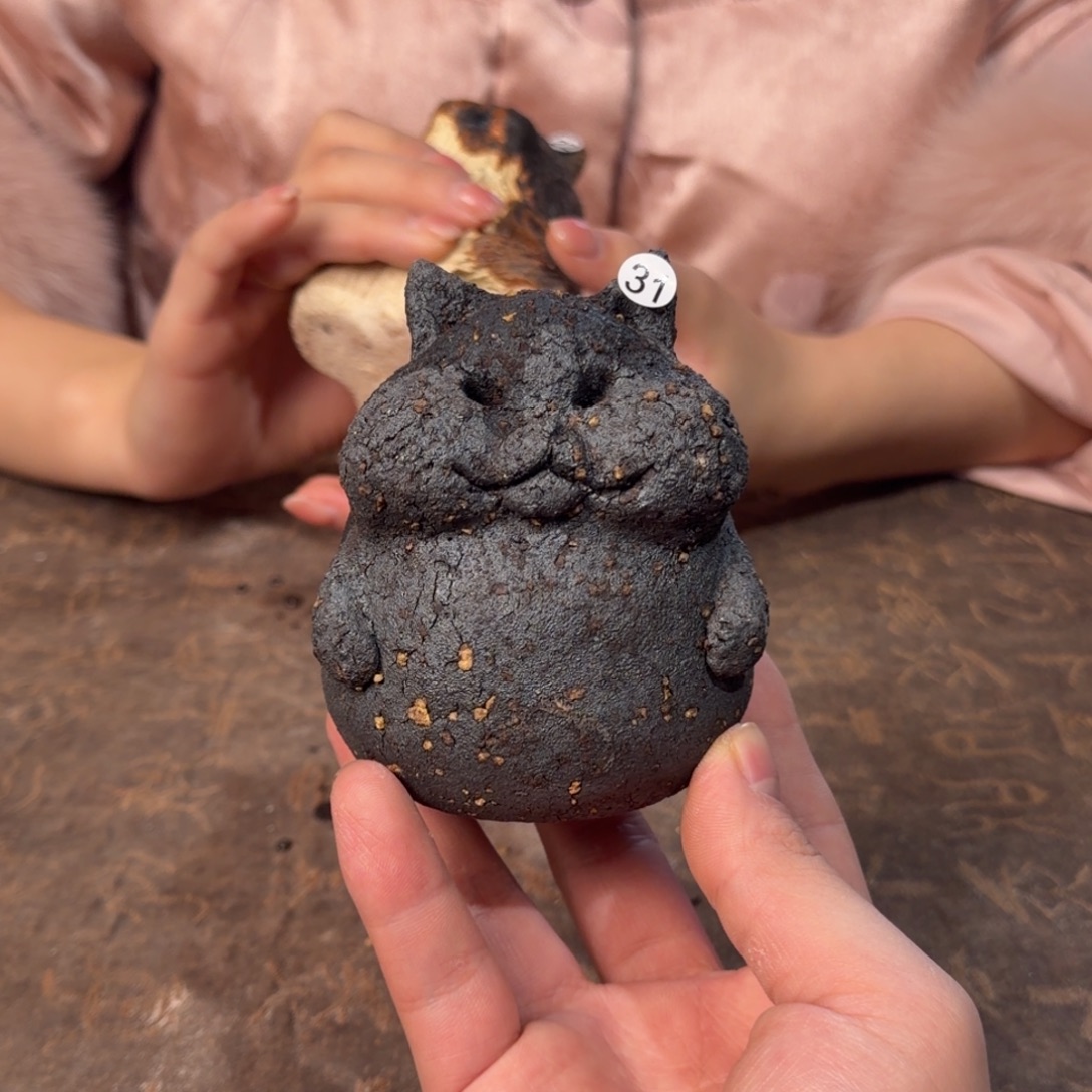 壶杯一一一一一一一一31