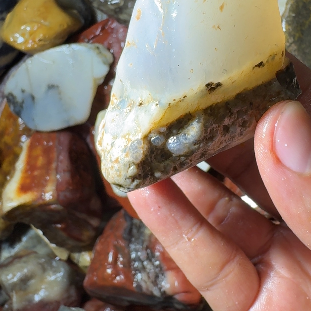 东***学寿山石89988999889