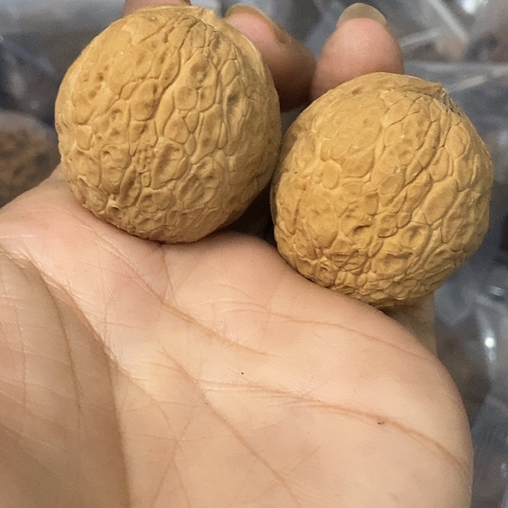 把件文玩核桃云南铁核桃基地37