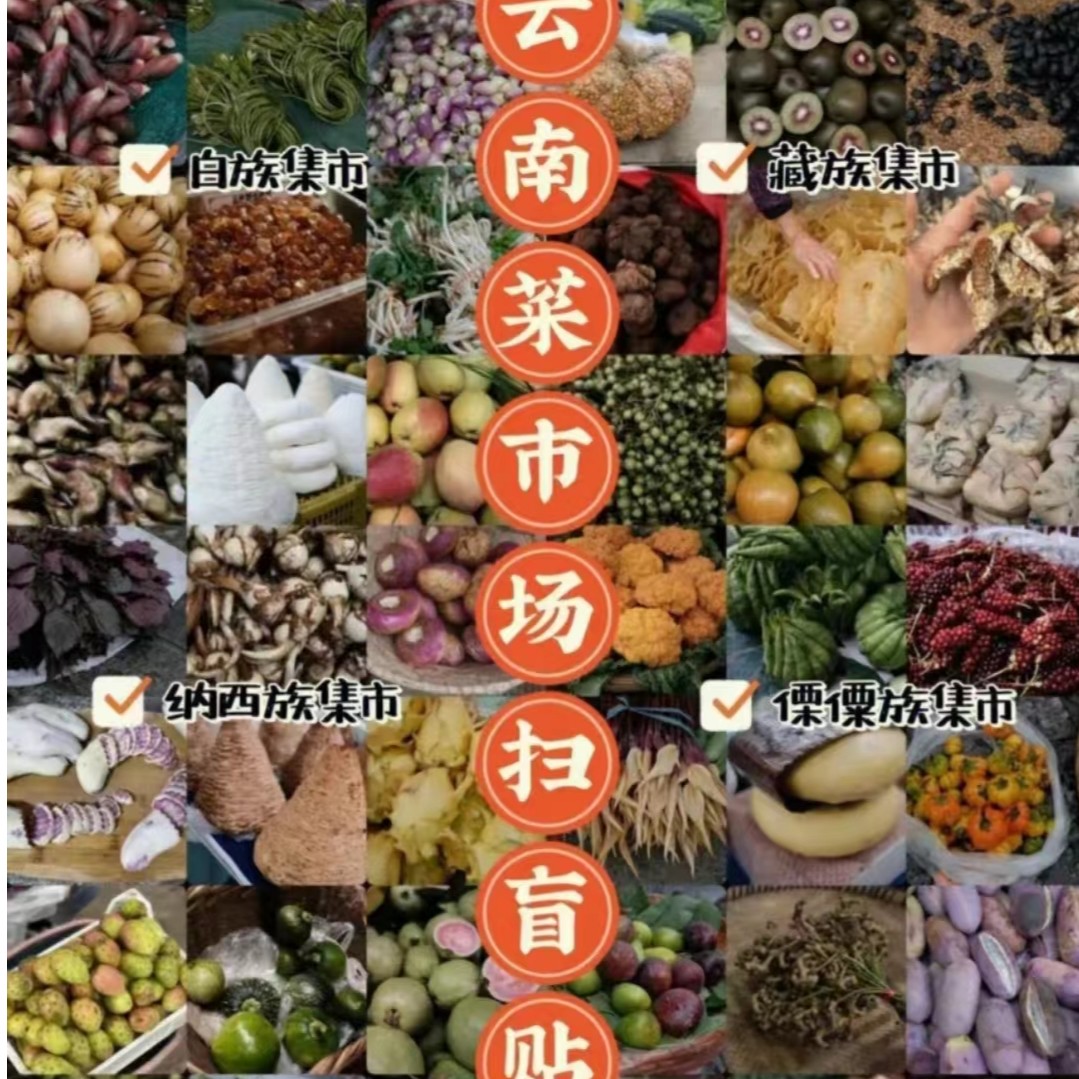 【阿海精选】越南虫漏陈香长
