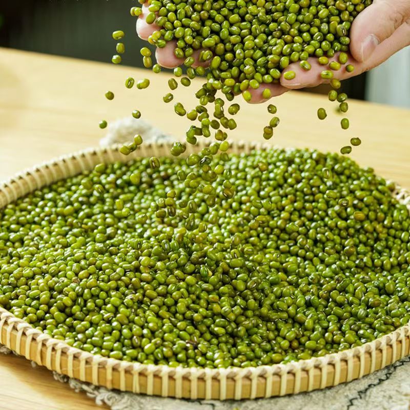 福利3斤农家自种薄皮绿豆汤绿豆粥可发芽笨绿豆农家绿豆食用1斤