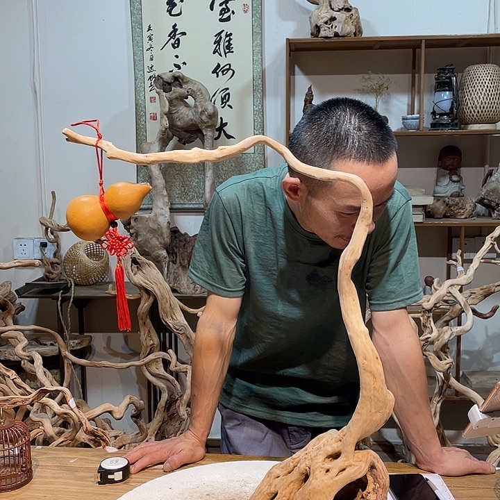 香榧木杜鹃花盛开于春天二