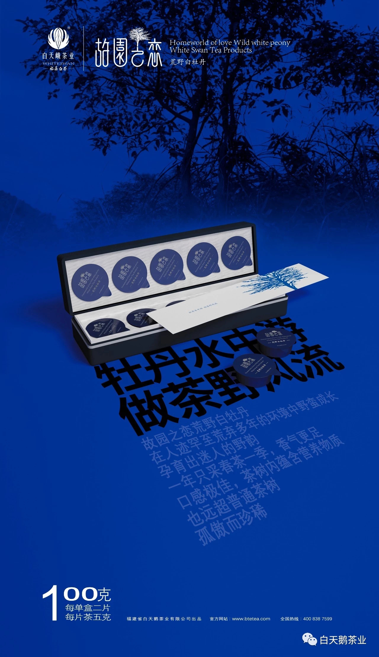 白天鹅 故园之恋 2019荒野白牡丹 100克1条