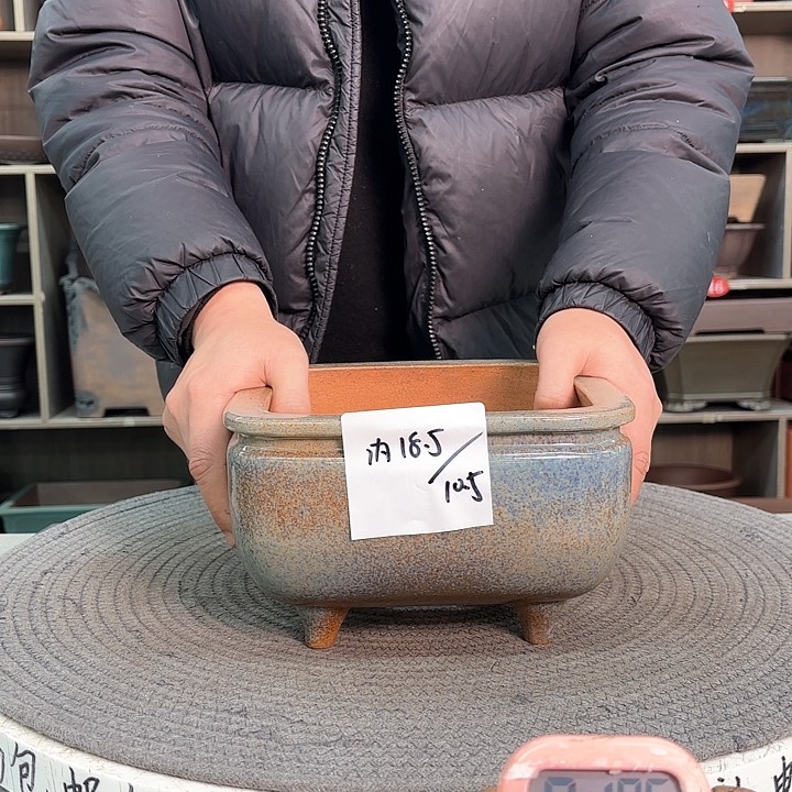 紫砂花盆紫砂的花也太美