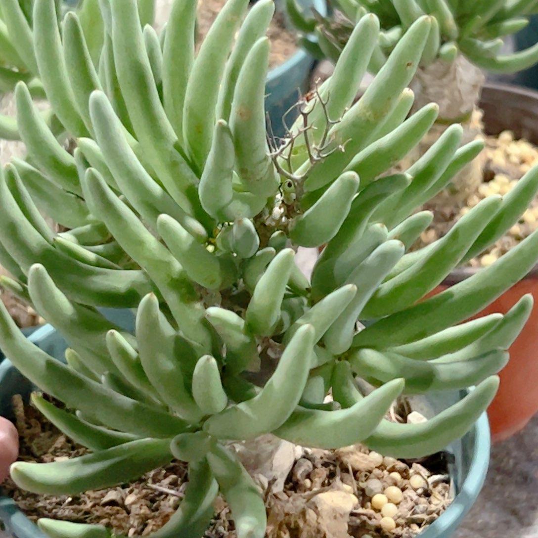 万物想 一物一拍