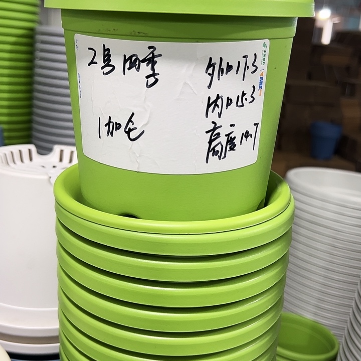 特价2号口17高14白色10只无托