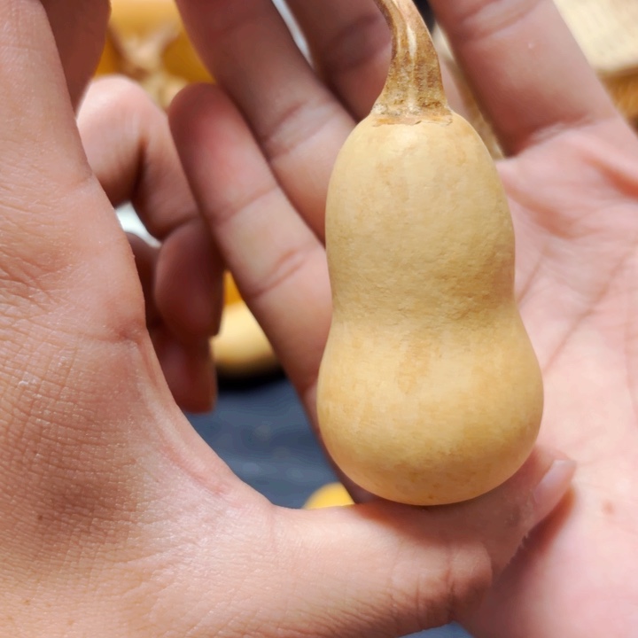 一***?88888888888888888