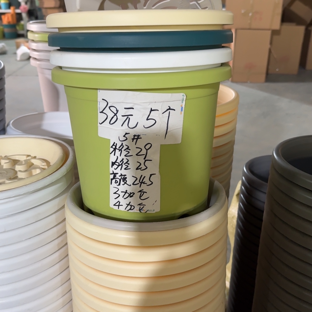 四季5#口径29高25无拖果绿10个