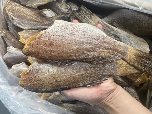 去头石斑鱼适合煎蒸焖红烧烹饪