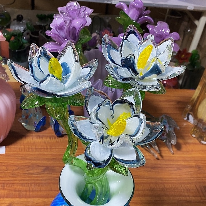 夜光花高45厘米了12厘米