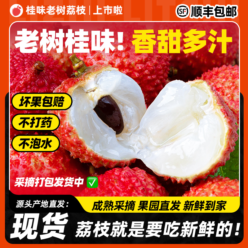 礼盒装【顺丰包邮】广东茂名高州桂味荔枝新鲜当季水果【DGL3】