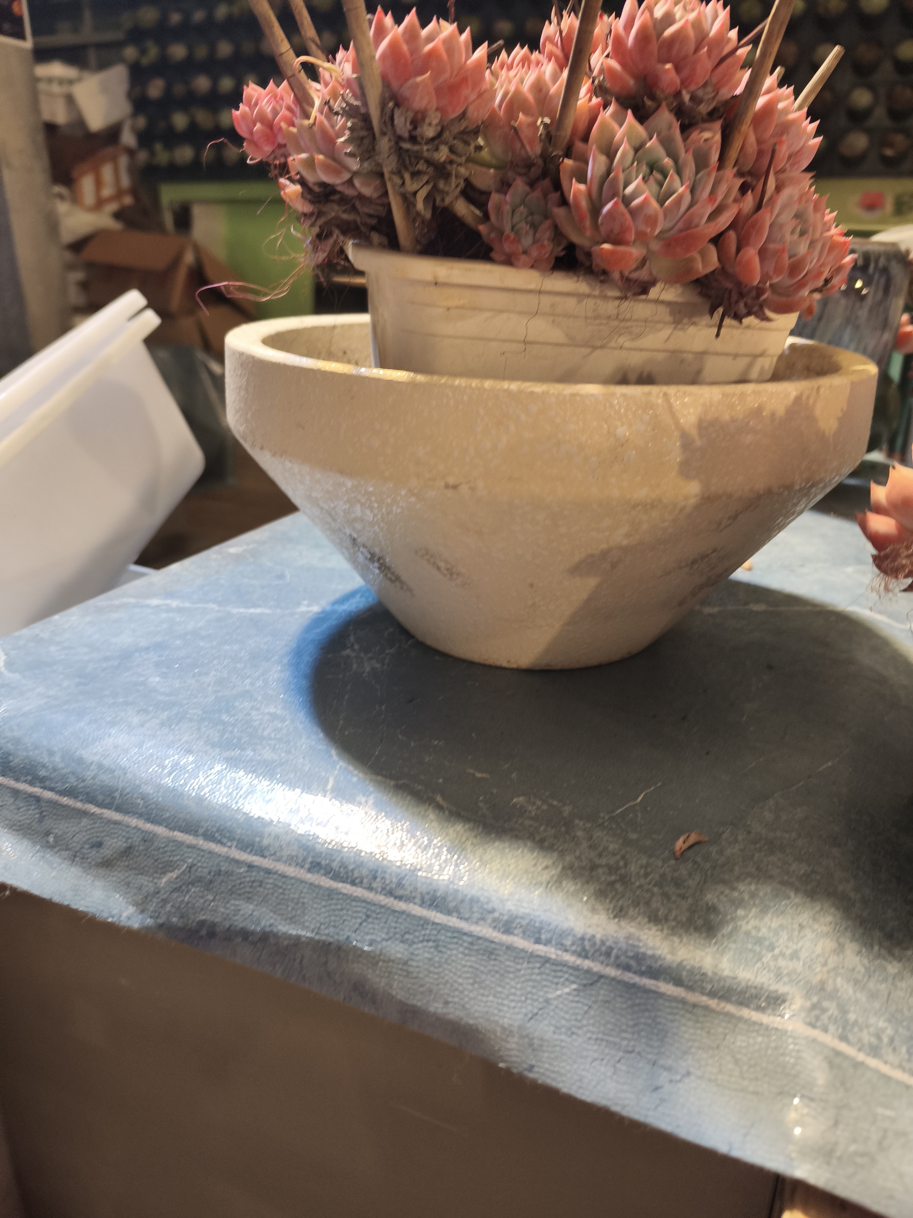 多肉花盆简约设计适合老桩植物家用花器吸水陶土盆