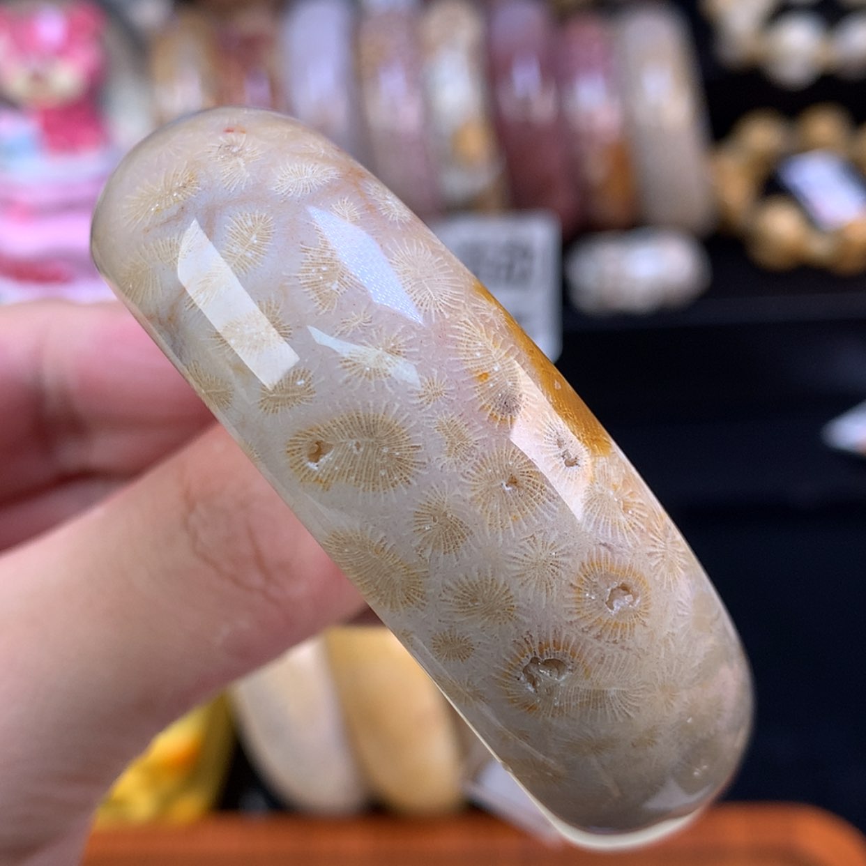 【闪购商品】颈饰未镶嵌硅化珊瑚（珊瑚玉）48号55.5圈胖虫