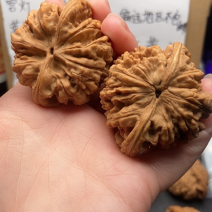 李***远大大大大大大官帽