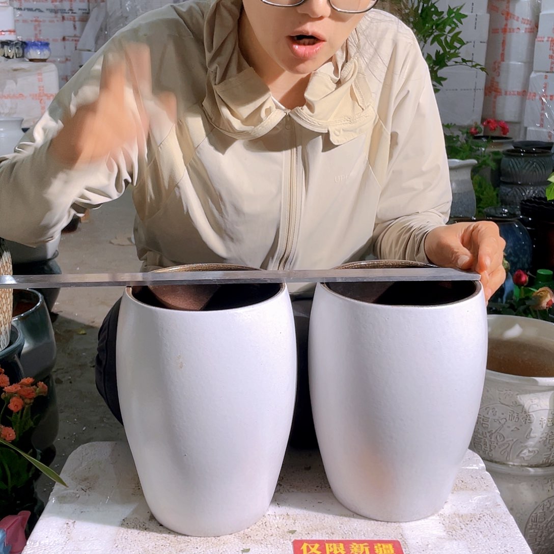 白色蛋型陶盆两个装口15高23