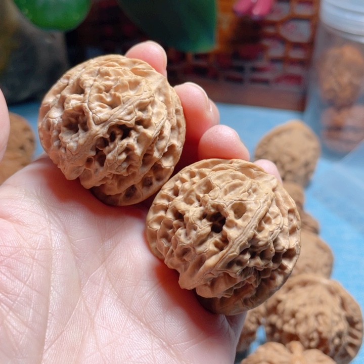 怀*38尺寸苹果圆狮子头