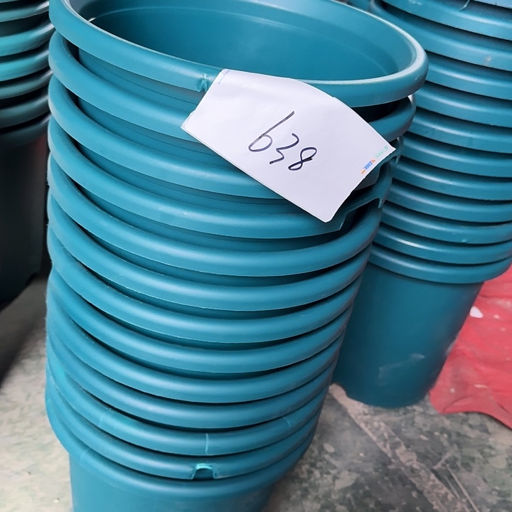 编号638缺口6个无托